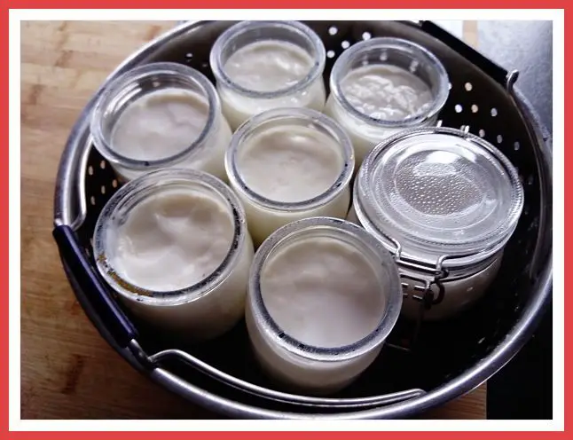 yaourt dans le panier vapeur du cookeo