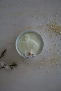 yaourt glacé frozen yogurt au cookeo